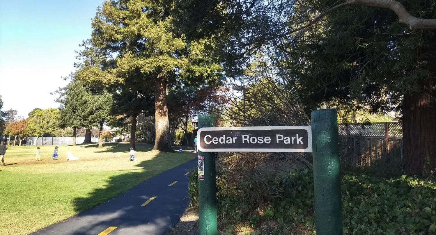 Outdoor park with sign that reads: "Cedar Rose Park"
